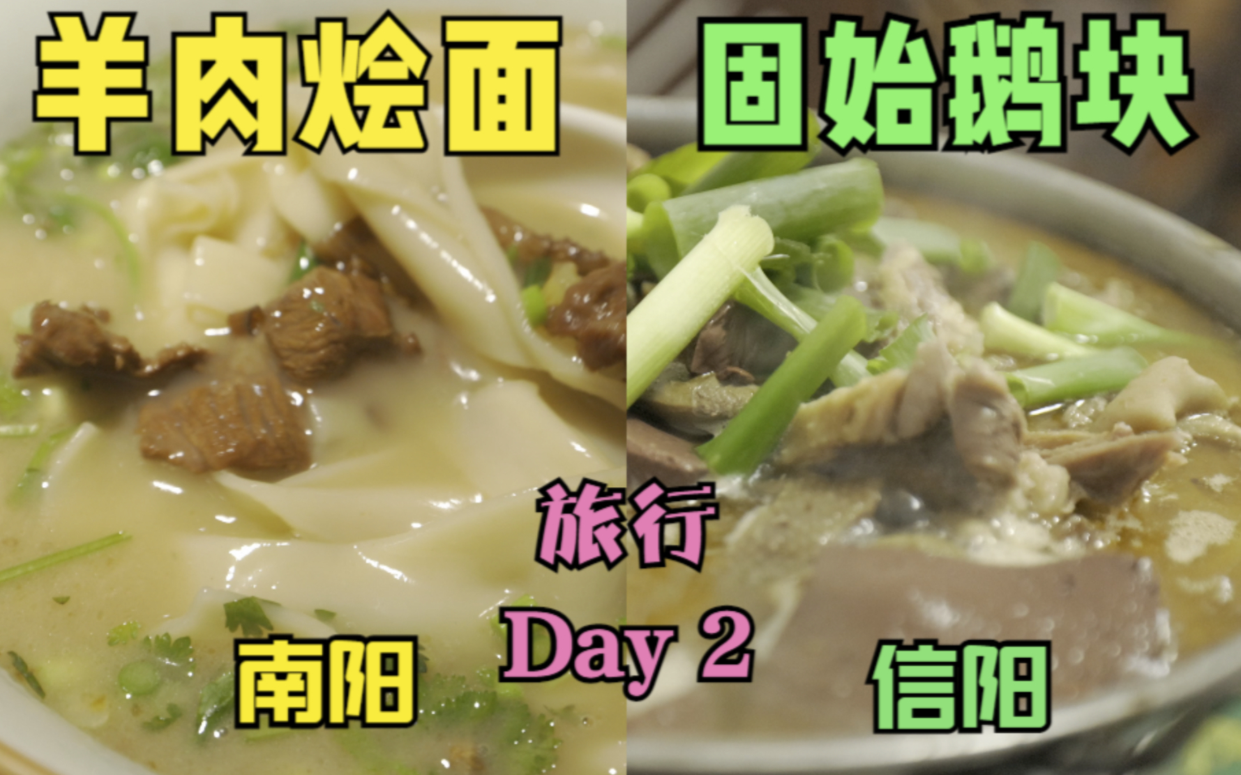 中午羊肉烩面,晚上固始鹅块,从南阳吃到信阳,一路吃肉的旅行