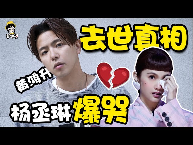 黄鸿升: 第二个高以翔?小鬼死因真相大白,杨丞琳崩溃大哭!#花田说