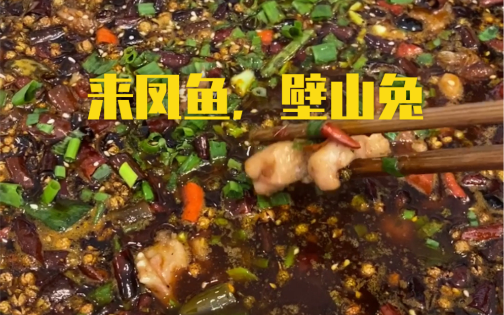 一家吃来凤鱼壁山兔的馆子, 至于正不正宗我也不晓得哈哈