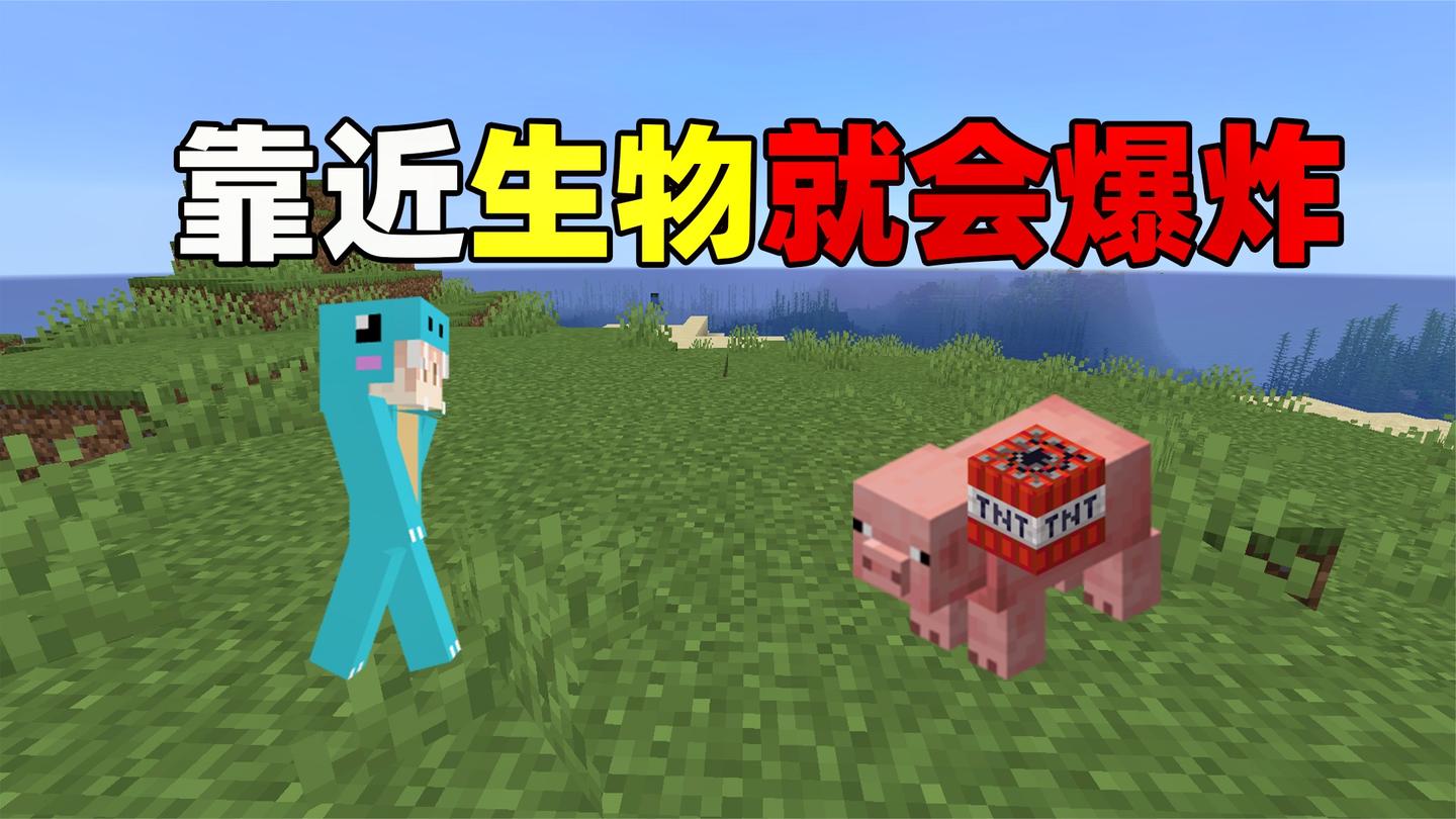 靠近生物就会爆炸! 你该如何生存! 我的世界趣味生存