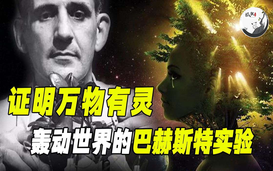 一颗植物被骂三年会发生什么? 枯萎、凋零只是开始, 科学家还发现它们产生了人才会有的东西!