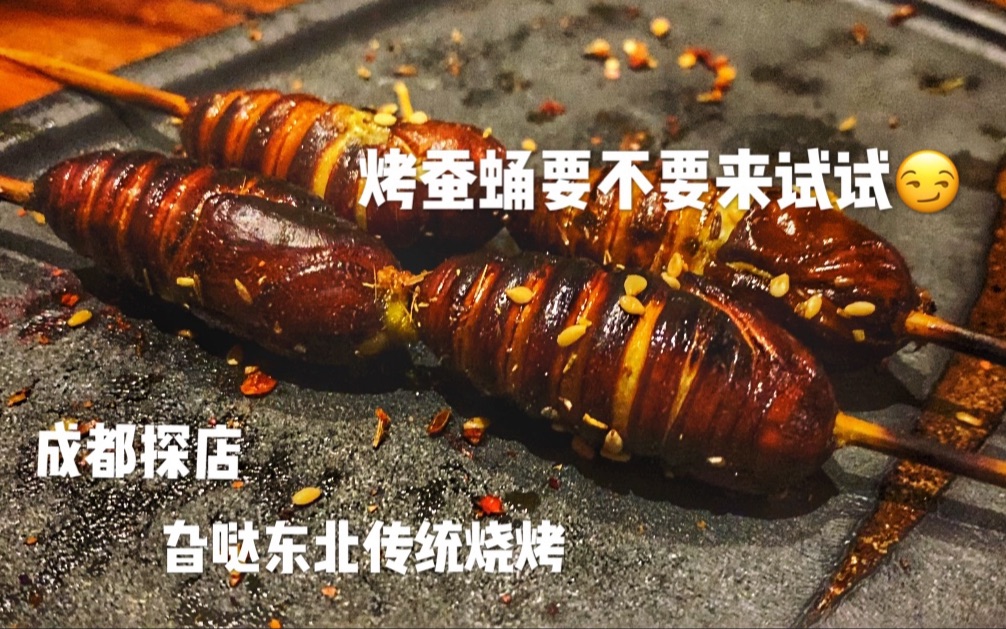 成都探店 | 「旮哒东北传统烧烤」烤蚕蛹要不要来试试~