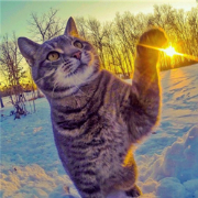 头像
