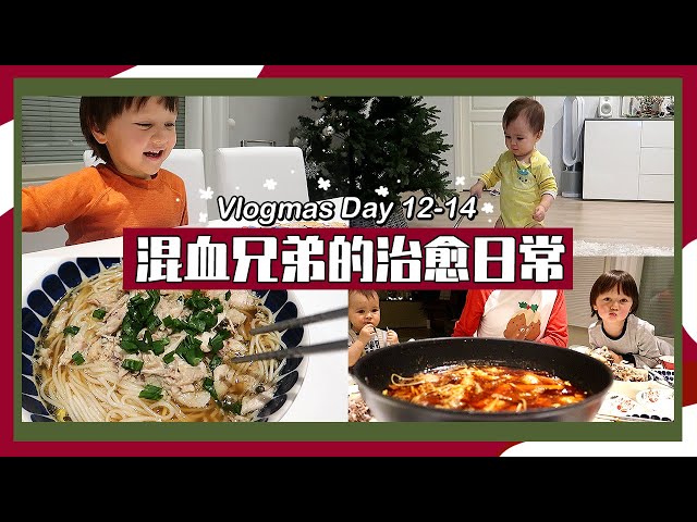 vlogmas day 12-14 | 猪骨高汤火锅 | 家常鸡汤面 | 中国超市大采购 | 打扫两个孩子的家 | 包包兄弟的治愈日常
