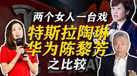 陶琳: 特斯拉只采集“有用”的数据