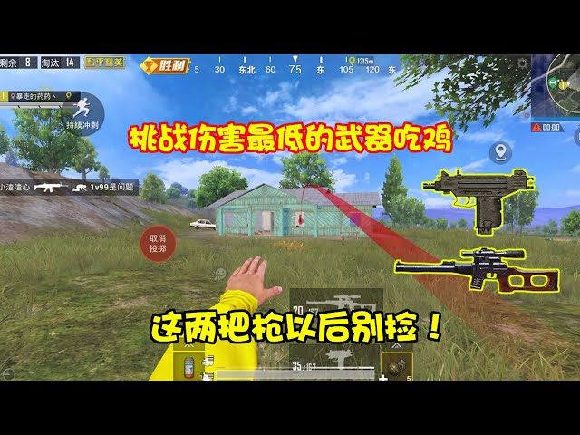 peace elite: 挑战使用两把伤害最低的枪械吃鸡,大家知道vss有什么绰号吗?【暴走的小药】