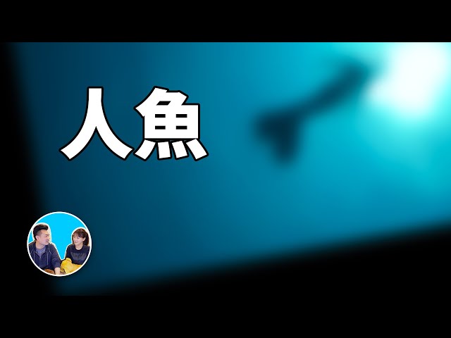 怕海的人不要看,真實的美人魚 | 老高與小茉 mr & mrs gao