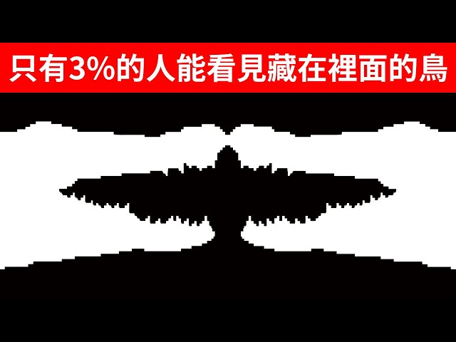 用視錯覺測驗來看看你到底是什麼樣的人